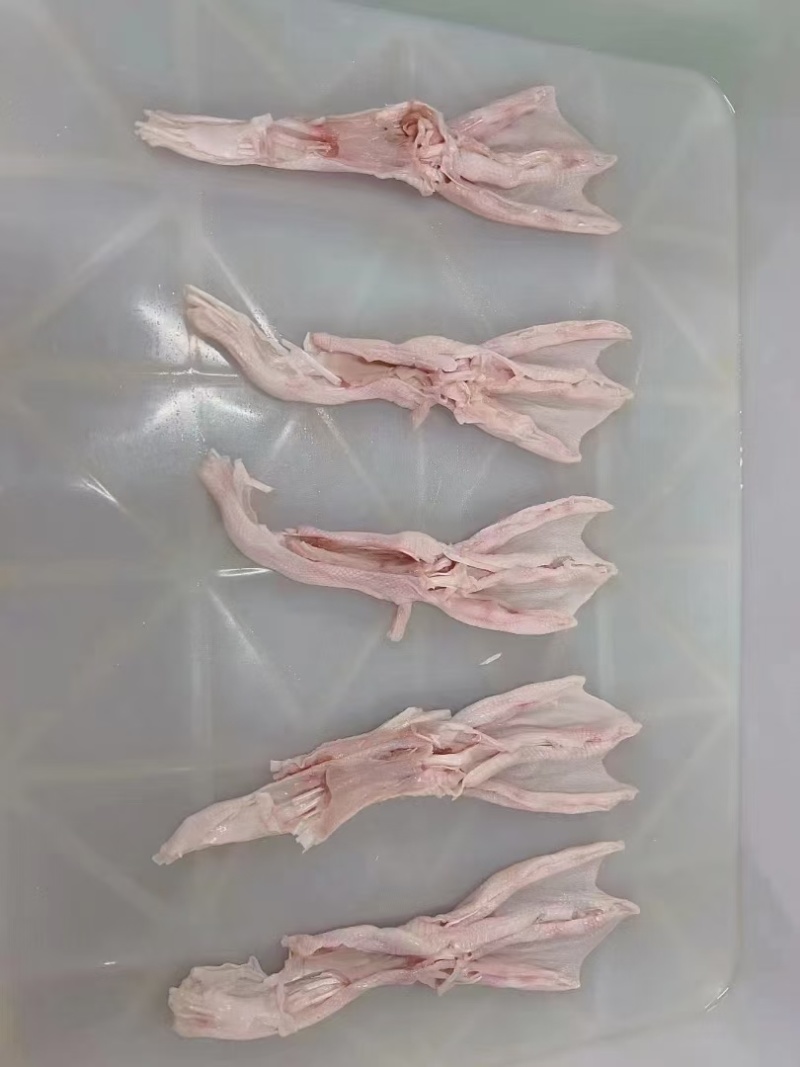 去骨鸡爪脱骨鸡爪，各种规格齐全供应，鲜品冻品都有货