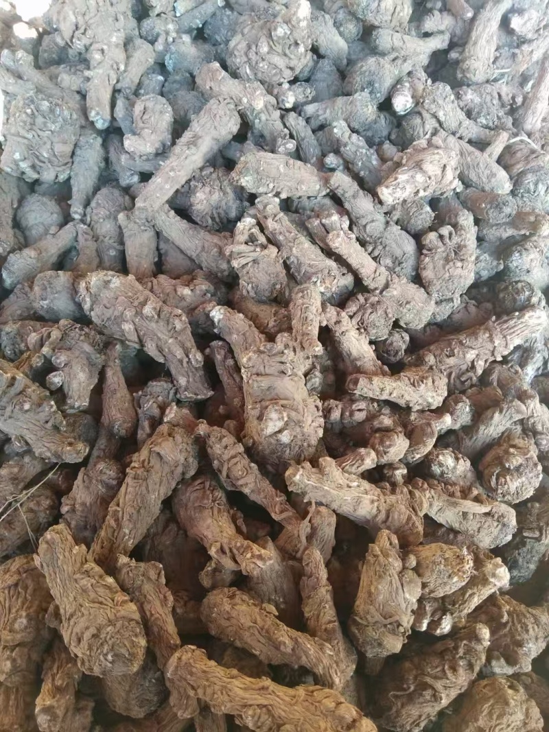 精选当归原产地直供随时有货