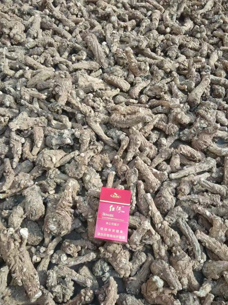 精选当归原产地直供随时有货