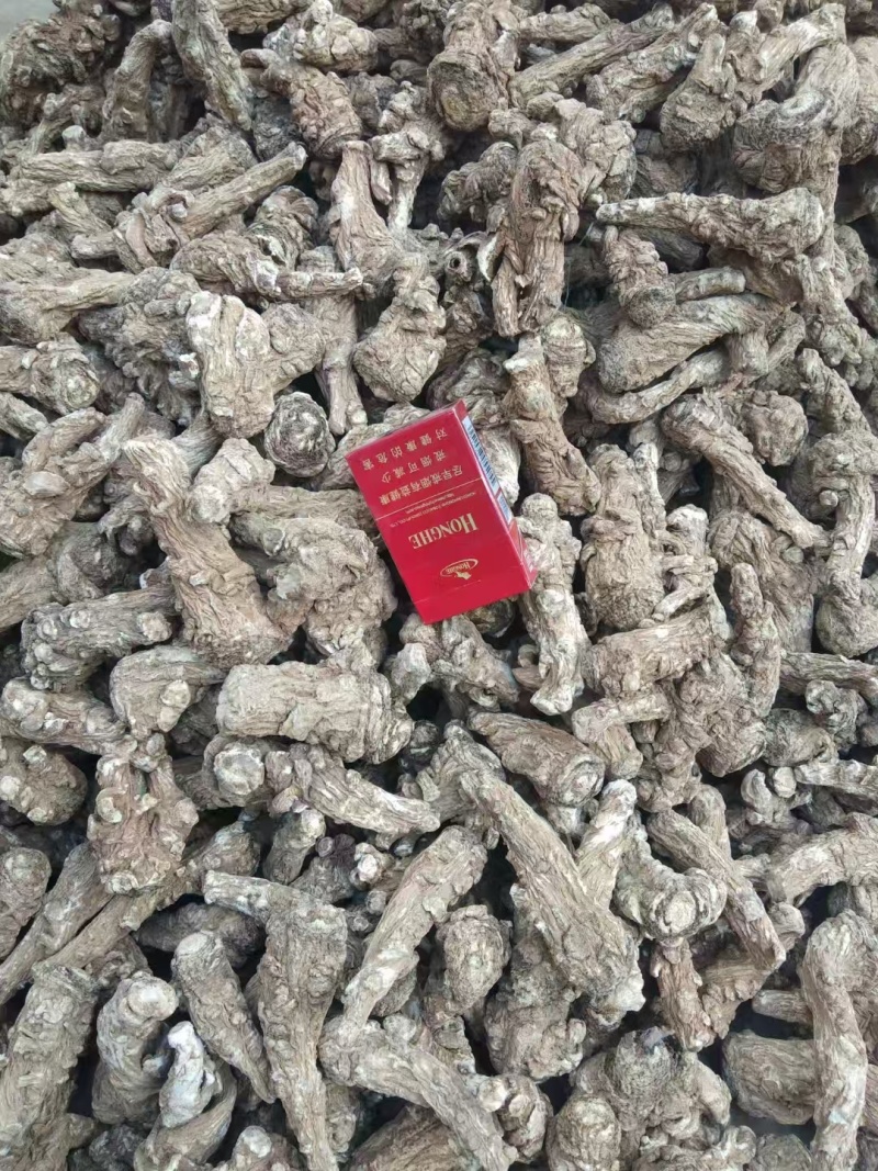 精选当归原产地直供随时有货