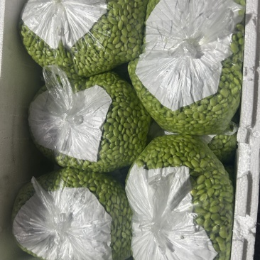 有货，大量有货！