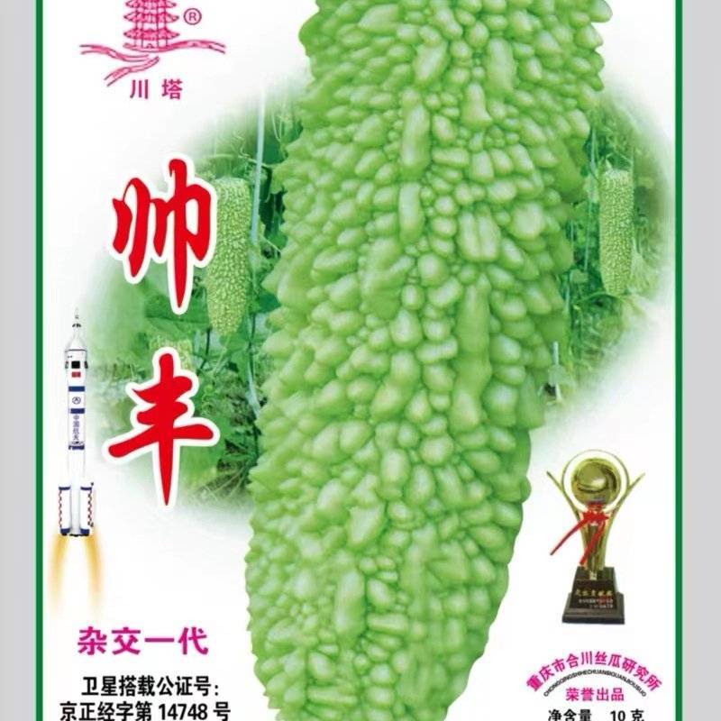 苦瓜种子帅丰大刺瘤绿白杂交苦瓜太空育种早熟高产