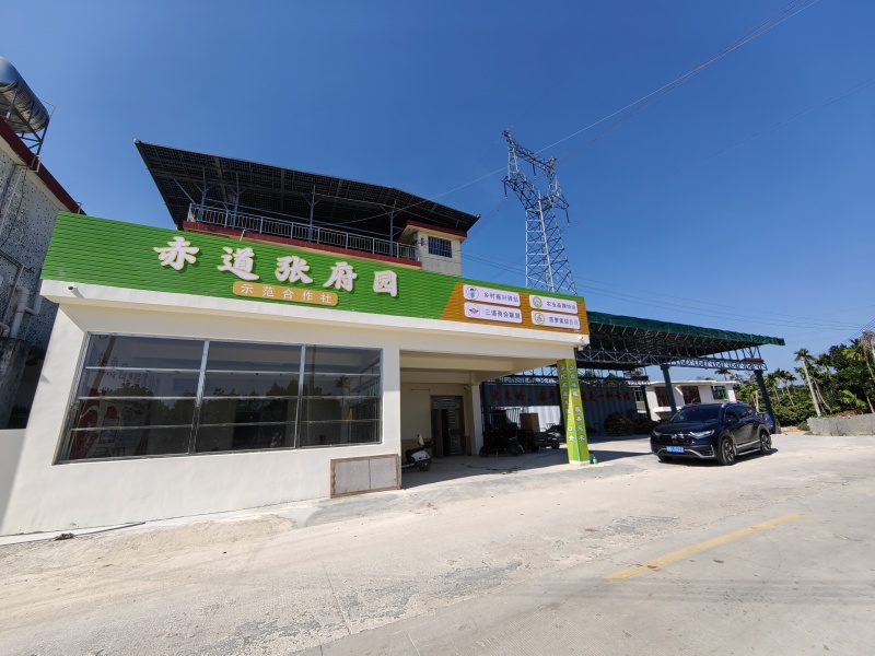 海南菠萝蜜以质论价，量大从优！自家果园源头产品