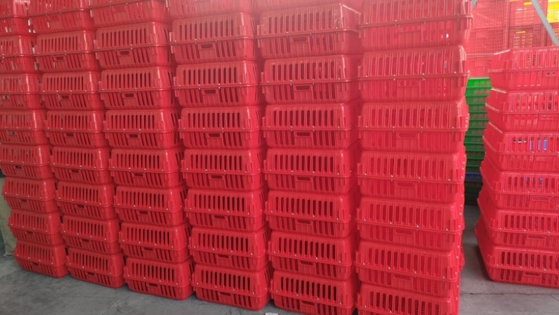 全新一首熟料打造优质鸡鸭鹅运输周转笼具长74宽54高27