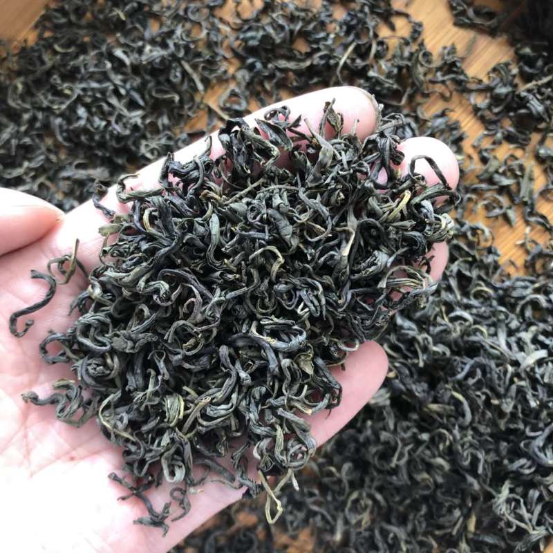 浙江新茶高山松阳银猴香茶茶叶批发对接电商一件代发