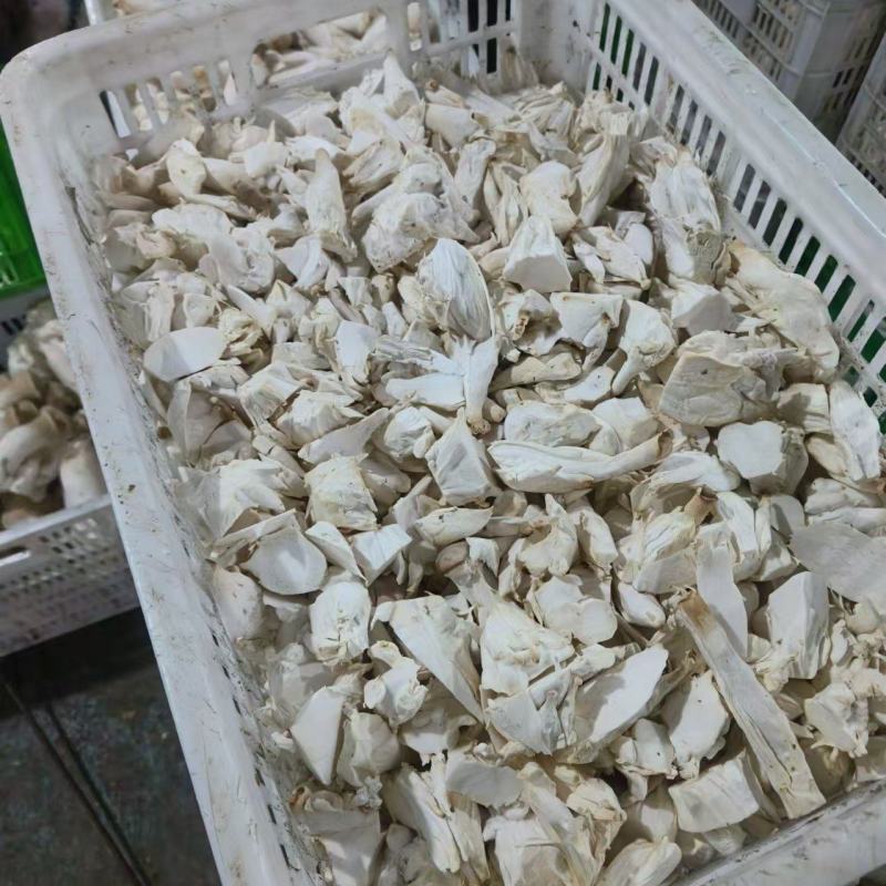 河南濮阳杏鲍菇，种植基地，产地直发，保质保量，量大从优