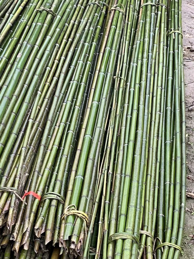 大棚竹西瓜棚羊肚菌棚鸭棚欢迎来电洽谈