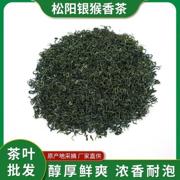 浙江绿茶高山茶松阳银猴香茶规格齐全包邮代发