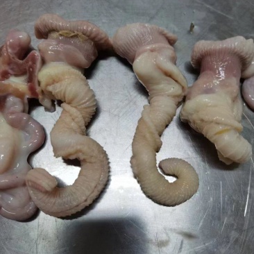 鸭鞭
