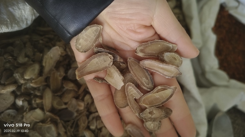 《郁金》广郁金无硫过筛实物拍摄物美价廉