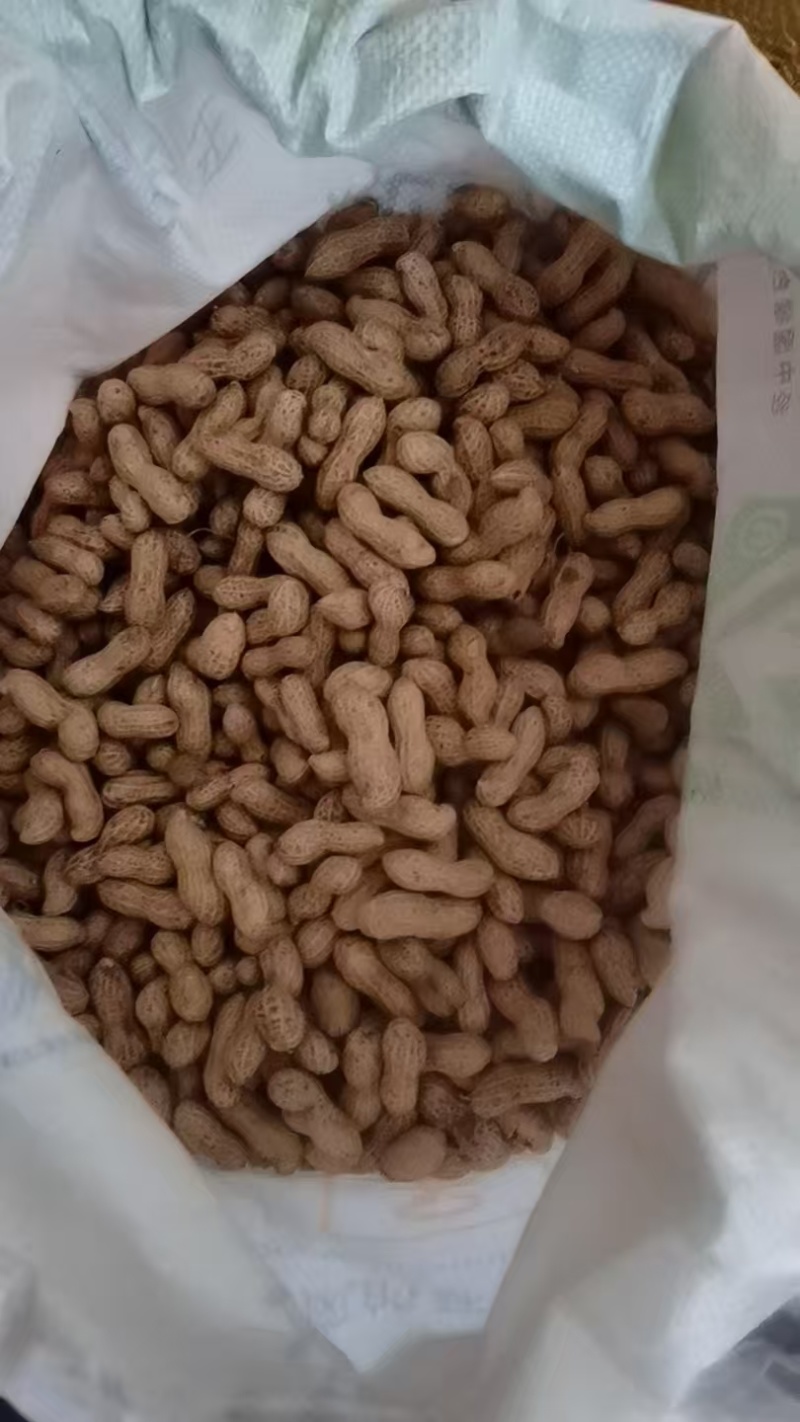 花生，生花生自家种植，质量保证欢迎采购合作共赢。
