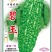 苦瓜种子碧玉翠绿色大刺瘤太空早熟杂交品种高产美观
