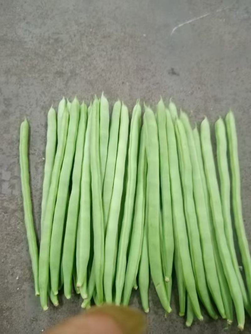 四季豆好货中货垃圾多的很