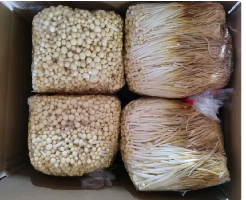 金针菇