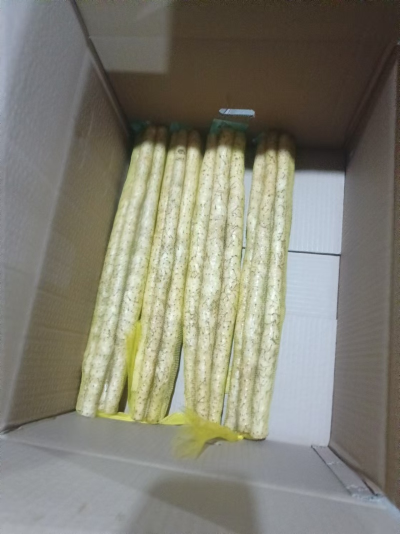 小白嘴山药，铁棍山药，精品礼盒装。产地直供。全国发货