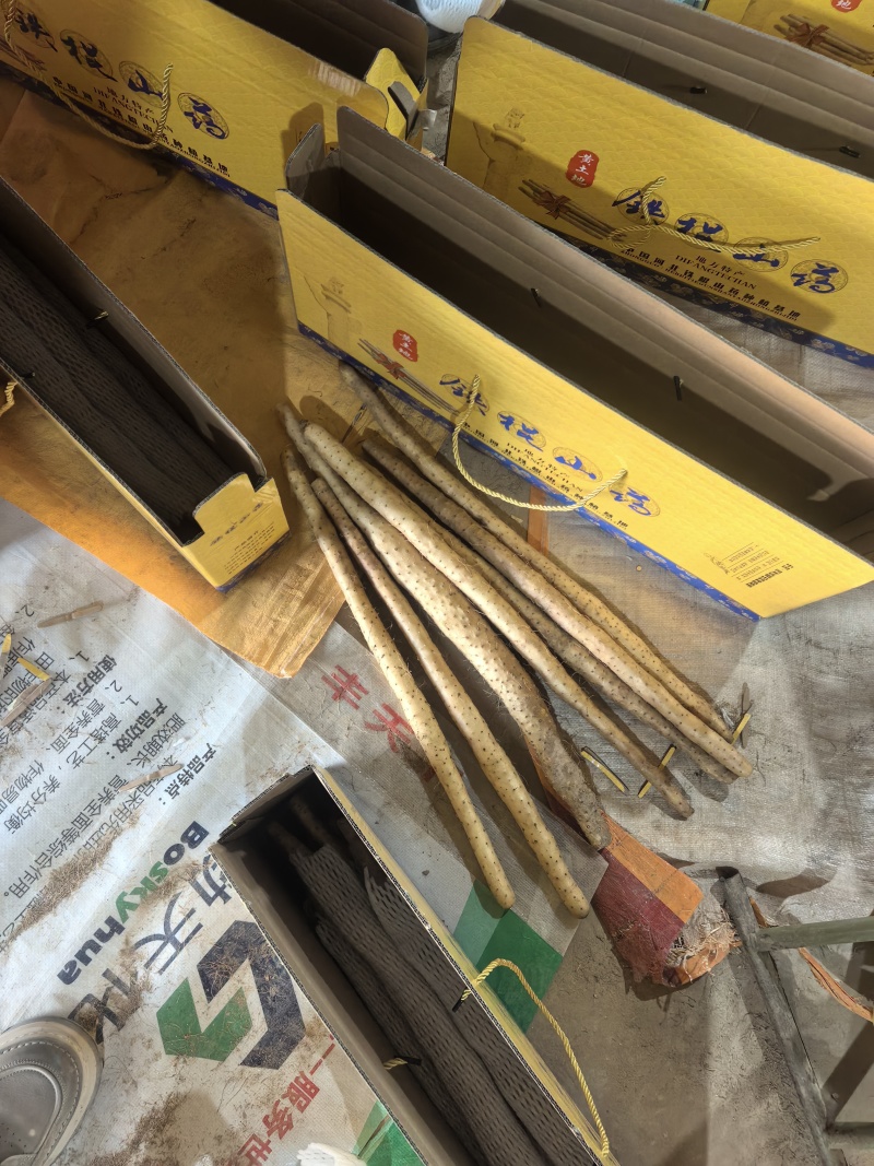 小白嘴山药，铁棍山药，精品礼盒装。产地直供。全国发货