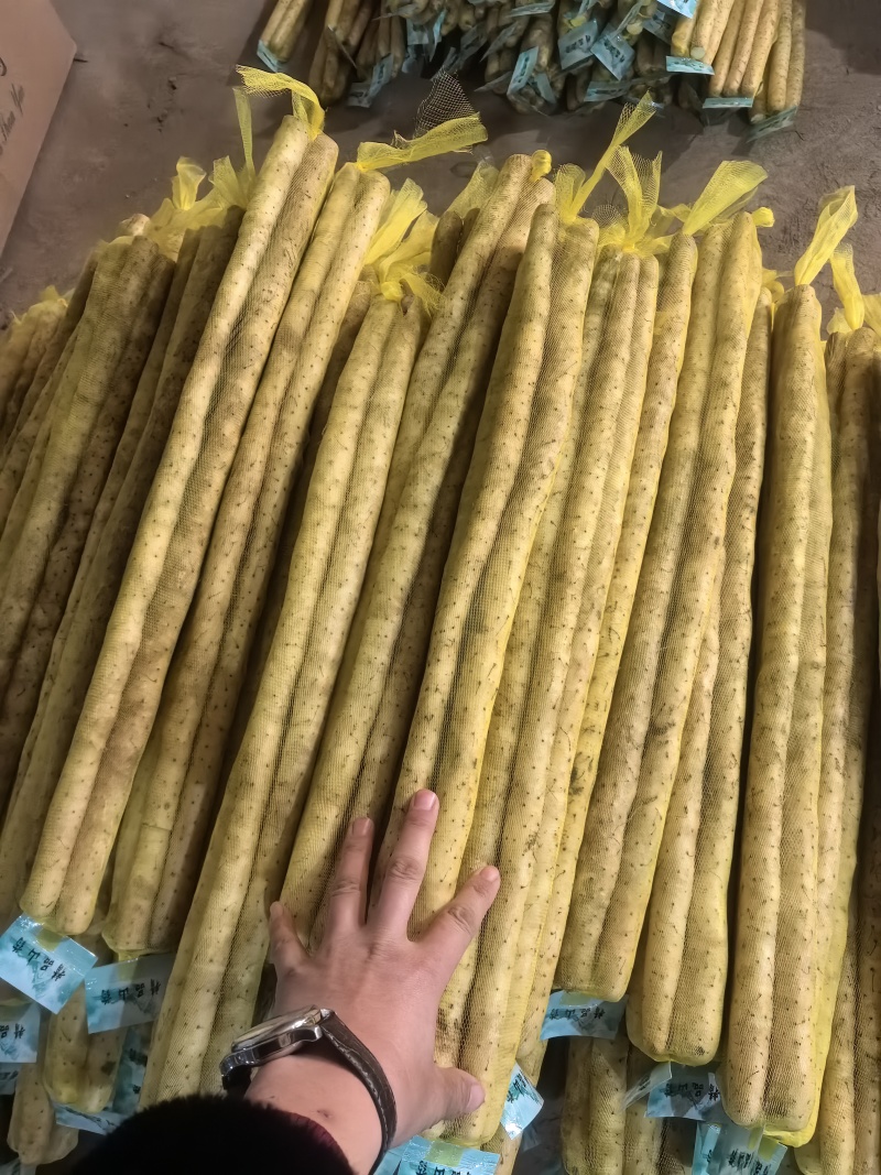 小白嘴山药，铁棍山药，精品礼盒装。产地直供。全国发货