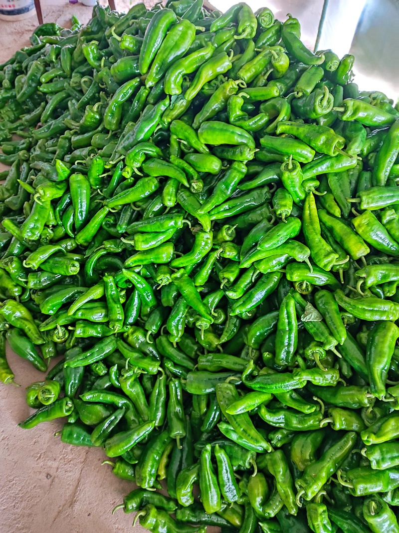 黄皮螺丝泡椒