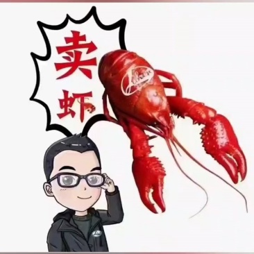 湖北潜江红壳虾小龙虾清水小龙虾全年供应酒店虾庄直供20年