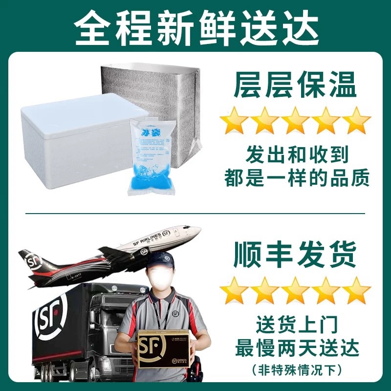 即食海参18-20头免泡发团购电商餐饮商用支持定制