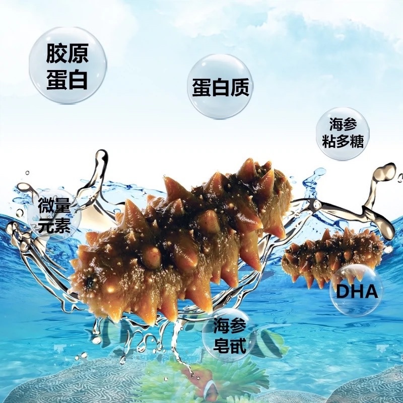 即食海参18-20头免泡发团购电商餐饮商用支持定制