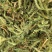 伸筋草【包邮】三斤起发货可批量可零售量大从优