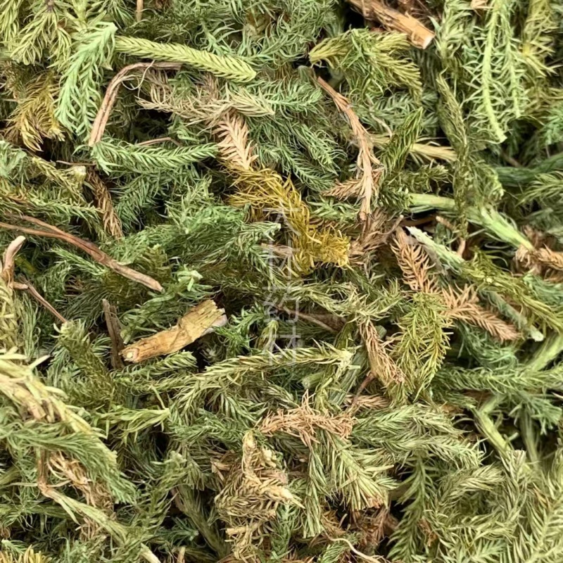伸筋草【包邮】三斤起发货可批量可零售量大从优