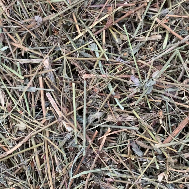 田基黄【包邮】三斤起发货可批量可零售量大从优