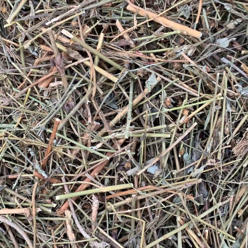 田基黄【包邮】三斤起发货可批量可零售量大从优