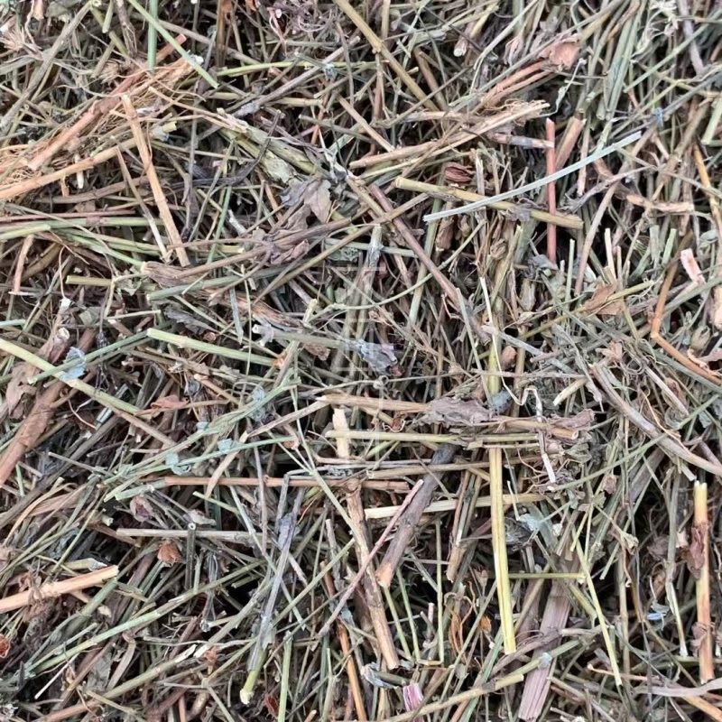 田基黄【包邮】三斤起发货可批量可零售量大从优
