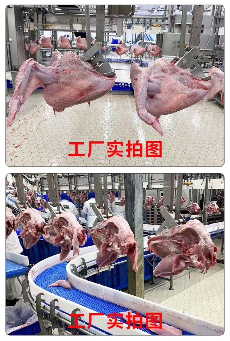 俄罗斯火鸡去头去爪单只6-8公斤