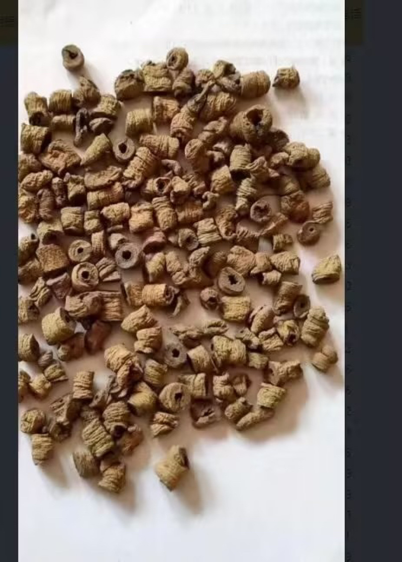 巴戟天鲜巴戟天产地直供一手货源量大从优欢迎咨询