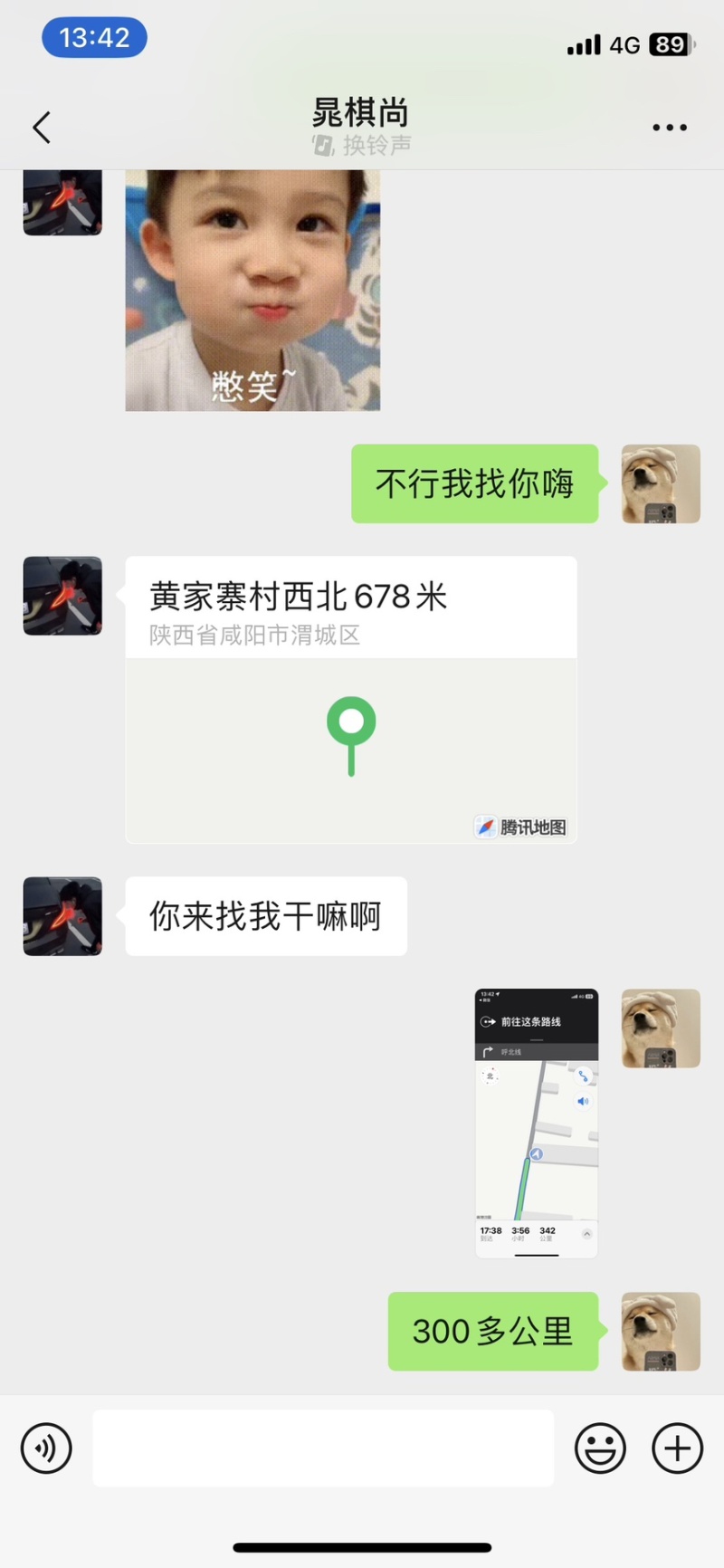 庭院树苗榆钱树苗榆树苗可以吃的榆钱树苗