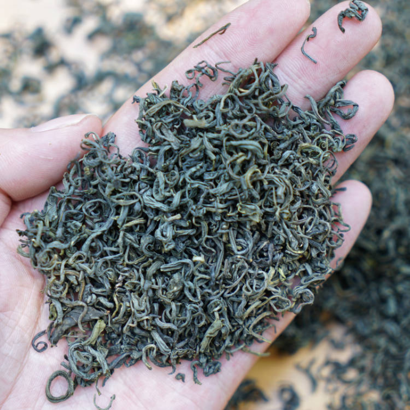 新茶高山绿茶松阳银猴香茶浓香型浙南茶叶市场批发直供