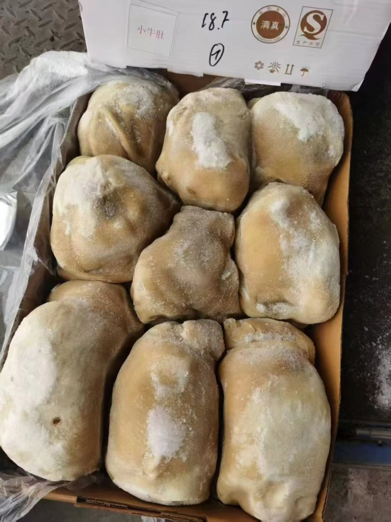 精品小牛肚大量订购高质量好品质欢迎订购