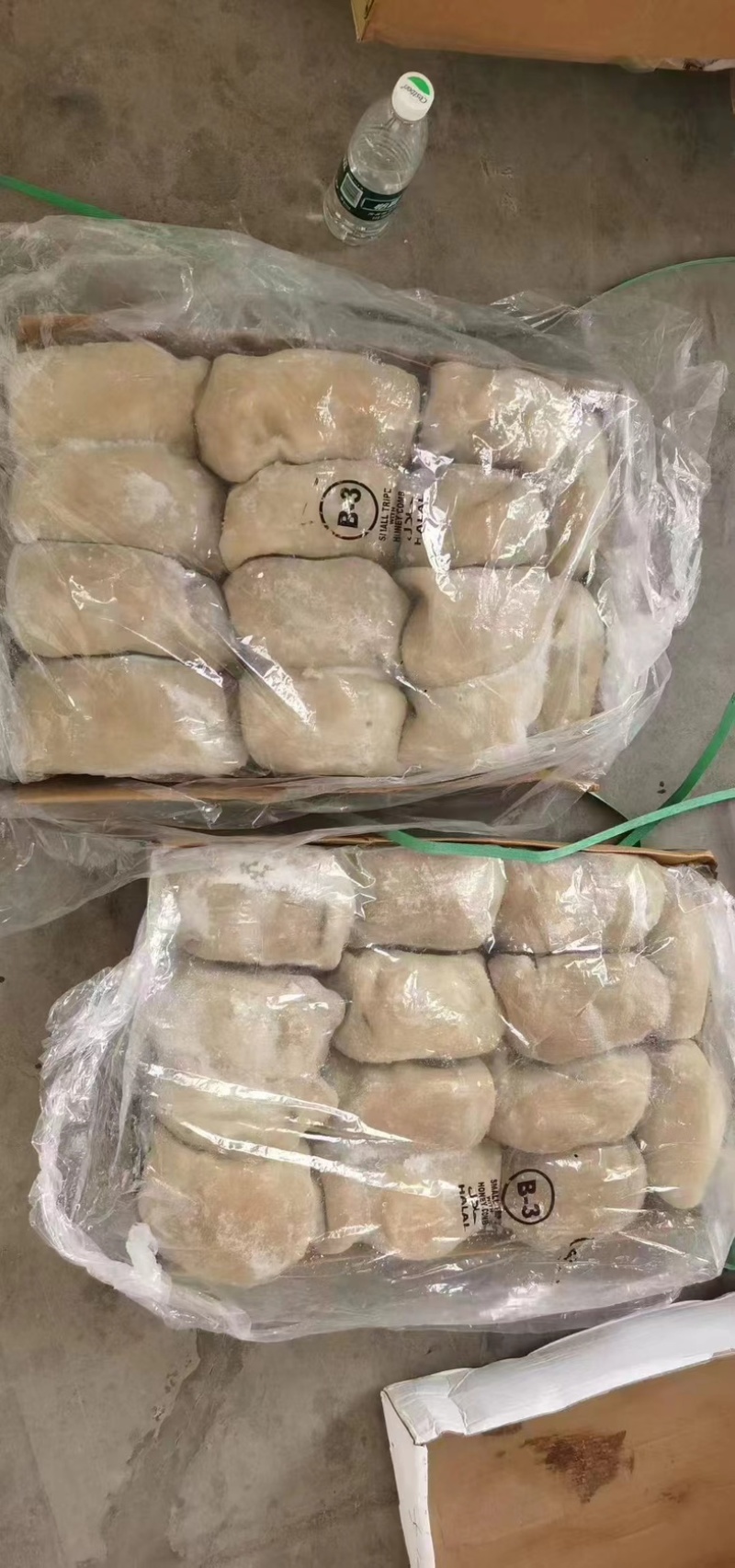 精品小牛肚大量订购高质量好品质欢迎订购