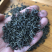 牧茗山新绿茶明前龙井炒青绿茶松阳龙井香茶茶叶批发直供