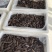 小头即食海参专业户203040头