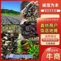 甄选东北秋木耳实力推荐品质保障价格美丽诚信经营