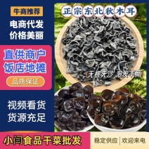 东北黑木耳秋木耳无根肉厚对接市场商超欢迎来电洽谈