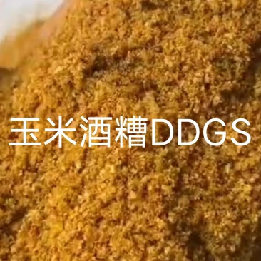 玉米酒糟DDGS,需要联系***********
