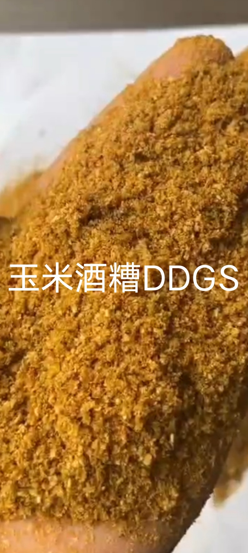 玉米酒糟DDGS,需要联系***********