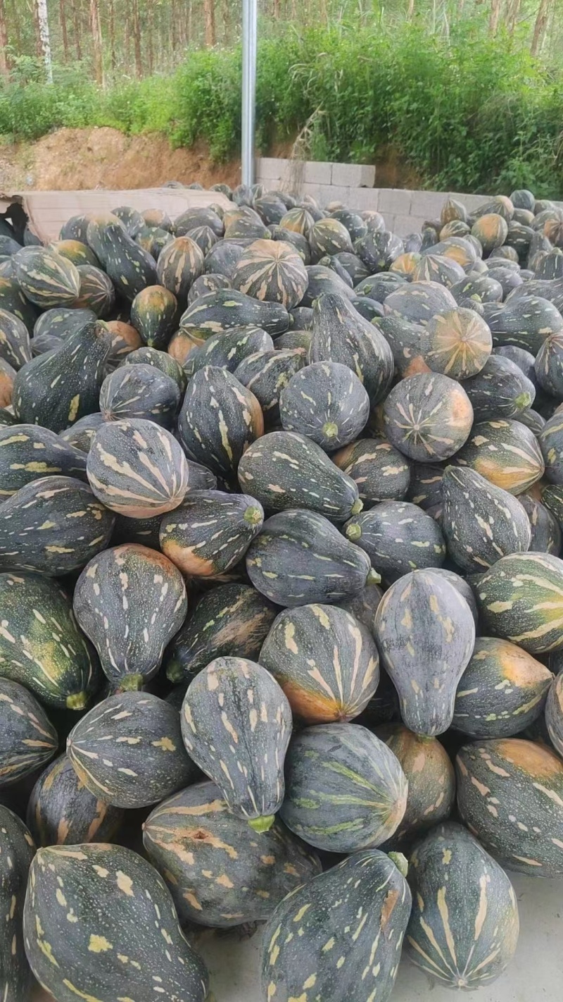 香芋南瓜广东产地直发对接电商市场商超保质保量