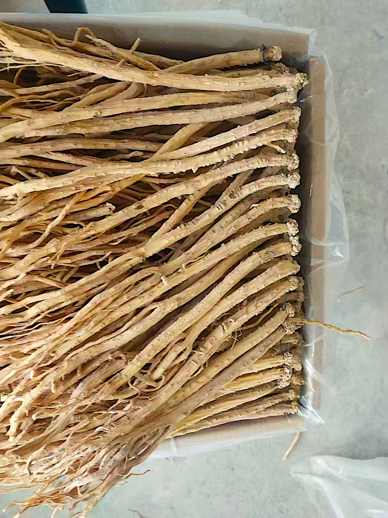 精品白条党参干货质量保证量大从优规格齐全欢迎咨询