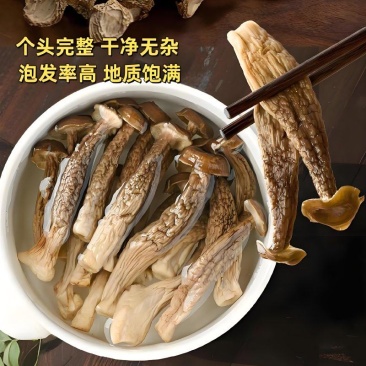 原产地鹿茸菇电话联系更优惠品质保障价格美丽