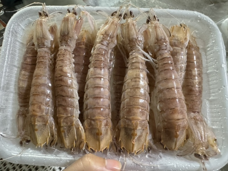 皮皮虾