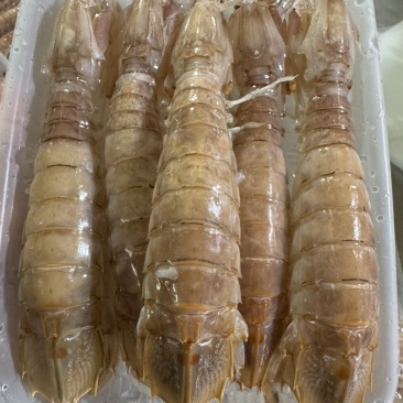 皮皮虾