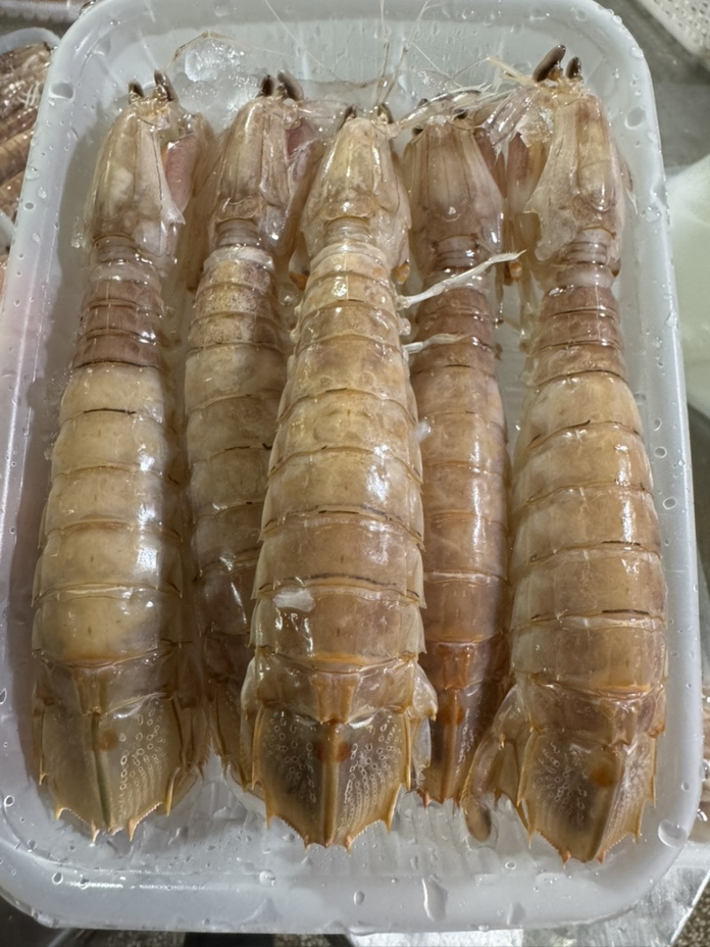 皮皮虾