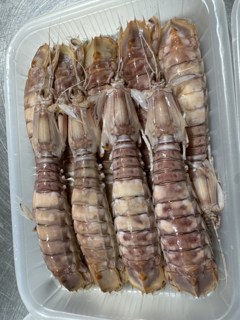 皮皮虾