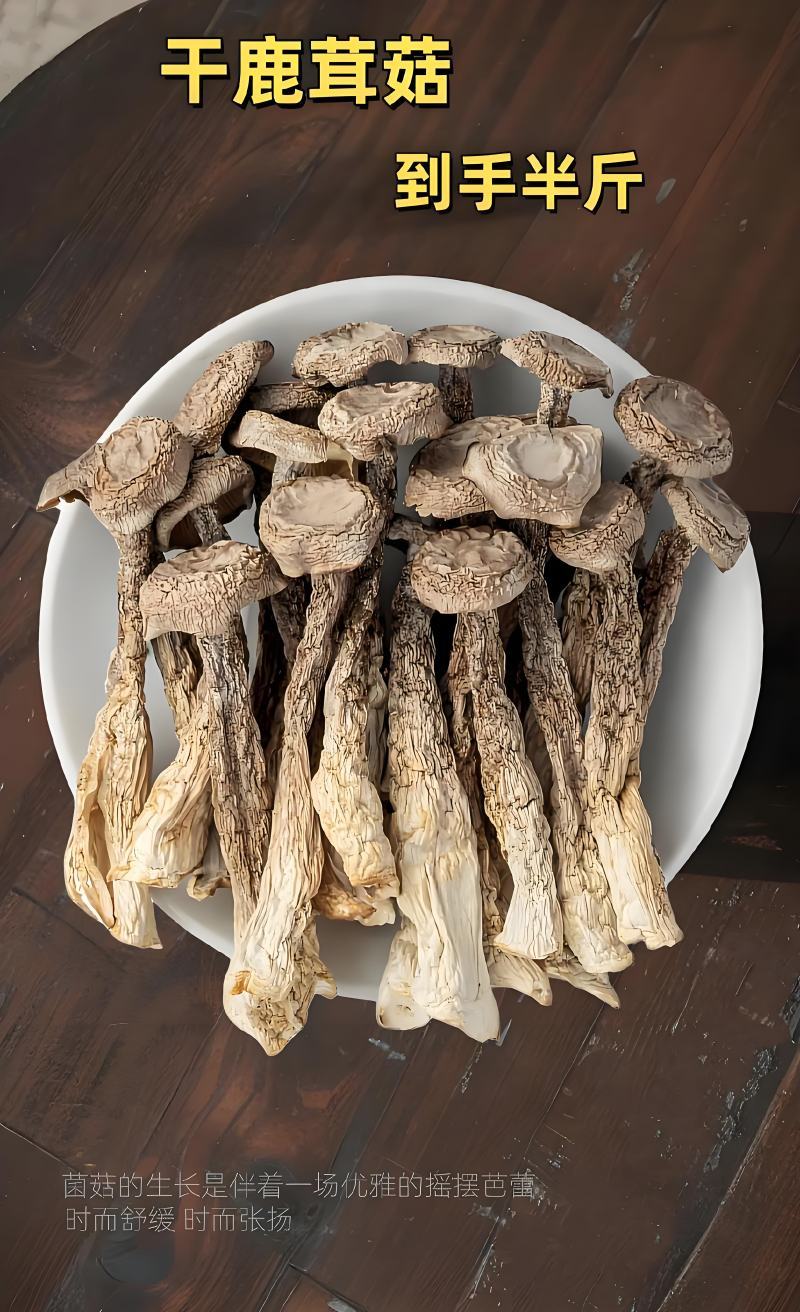原产地鹿茸菇电话联系更优惠品质保障价格美丽